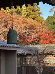 本土寺(千葉県)