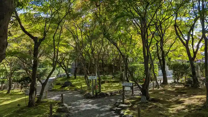 化野念仏寺(京都府)