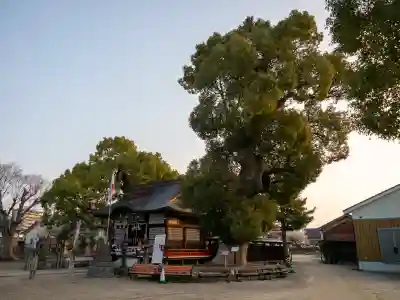 牛嶋天満宮(佐賀県)