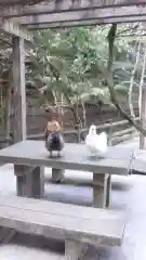 石上神宮の動物