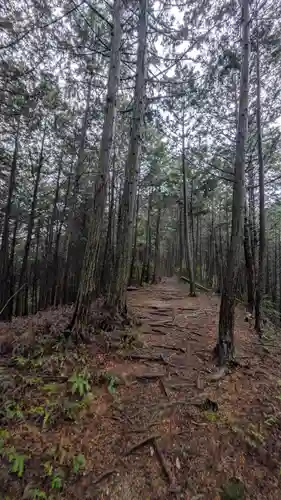 秋葉神社(京都府)