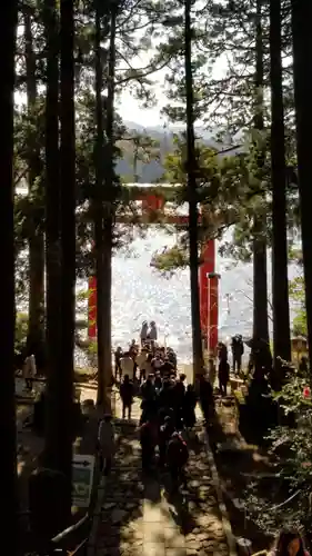 箱根神社の鳥居