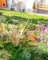 寿量山 速成寺の庭園