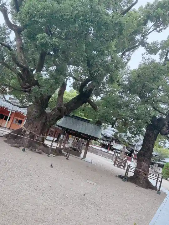 大聖観音寺(あびこ観音)(大阪府)