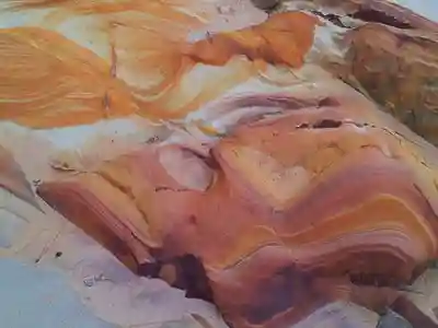 岩樟神社(兵庫県)