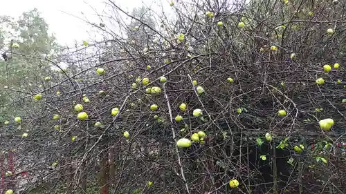 冠稲荷神社(群馬県)