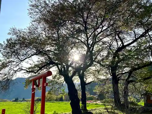 天神宮(伝河原氏屋敷跡)の自然