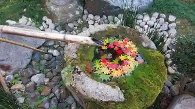 柳谷観音 楊谷寺の手水舎