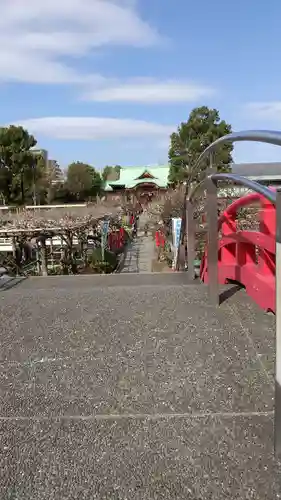 亀戸天神社の庭園