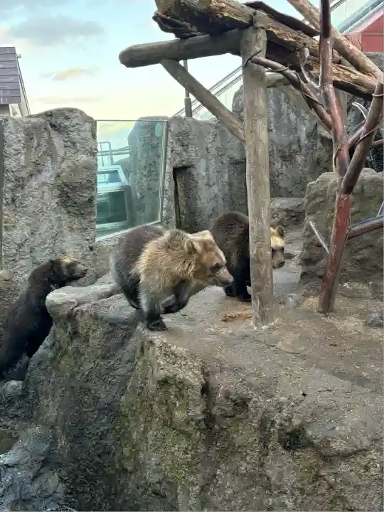 クマ山神社(北海道)