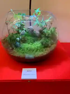 建仁寺（建仁禅寺）(京都府)