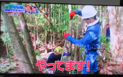 観音院(埼玉県)