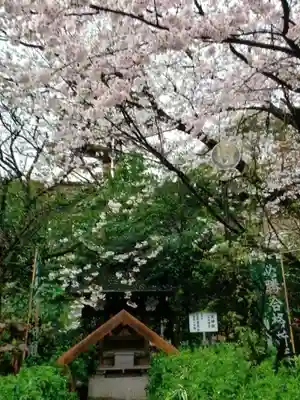 阿佐ヶ谷神明宮(東京都)