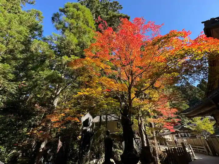 高野山金剛峯寺(和歌山県)