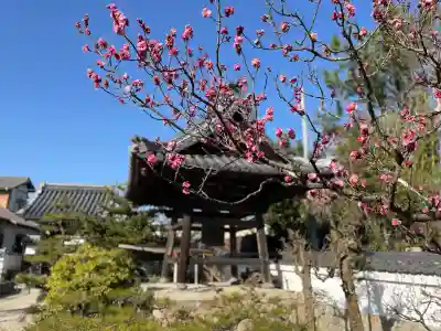 誓昌院の{uncategorized: "未分類", other: "その他", undefined: "問題あり", building: "その他建物", grave: "お墓", sacred_gate: "鳥居", guardian: "狛犬", statue: "像", buddha: "仏像", history: "歴史", nature: "自然", garden: "庭園", animal: "動物", pagoda: "塔", temizu: "手水舎", mountain_gate: "山門・神門", sanctuary: "本殿・本堂", subordinate: "末社・摂社", art: "芸術", scenery: "景色", jizo: "地蔵", ema: "絵馬", goshuin: "御朱印", omikuji: "おみくじ", items: "授与品その他", amulet: "お守り", goshuincho: "御朱印帳", eats: "食事", festival: "お祭り", votive_dance: "神楽", shichigosan: "七五三参", wedding: "結婚式", experience: "体験その他", initially: "初詣", around: "周辺", anti_infection: "感染症対策"}