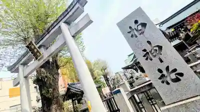 柏神社の鳥居