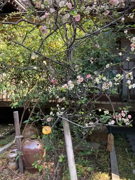 龍峰寺(神奈川県)