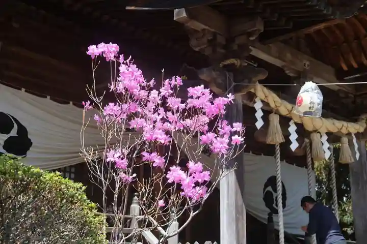 豊景神社の自然