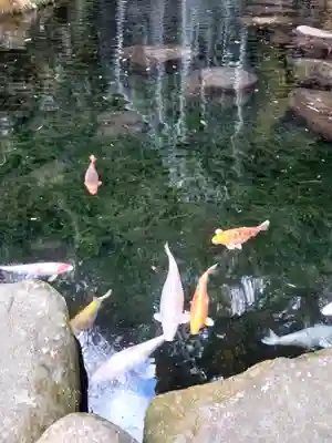 玉簾神社(神奈川県)