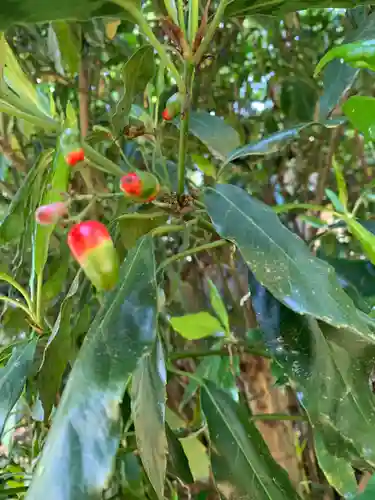大胡神社の自然