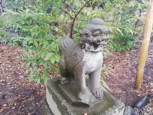 菊田神社の狛犬