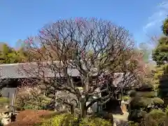 法泉寺(神奈川県)