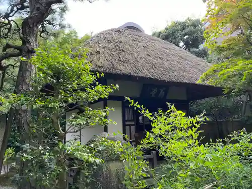 義仲寺(滋賀県)