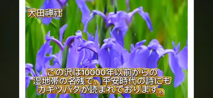 太田神社(京都府)