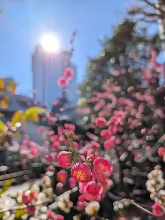 成子天神社(東京都)