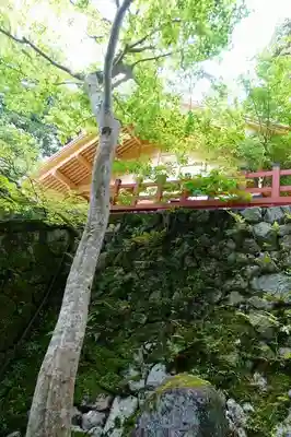 高鴨神社のその他建物