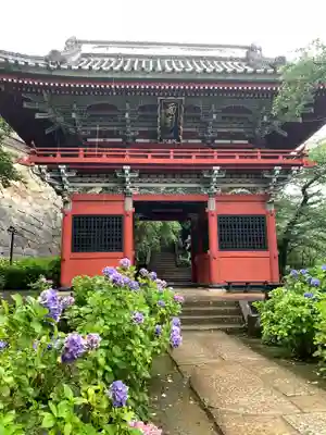 楽法寺(雨引観音)の山門・神門