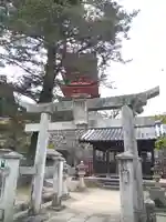 荒胡子神社の鳥居