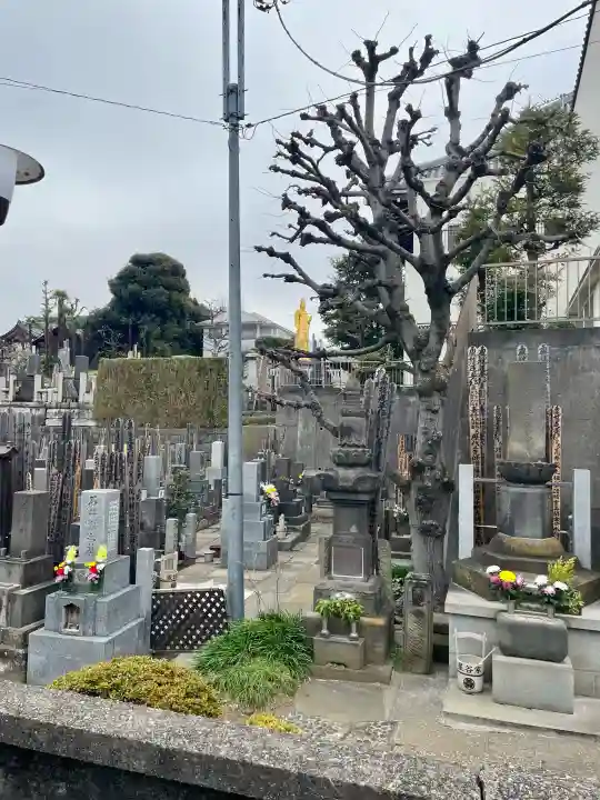 長久寺の{uncategorized: "未分類", other: "その他", undefined: "問題あり", building: "その他建物", grave: "お墓", sacred_gate: "鳥居", guardian: "狛犬", statue: "像", buddha: "仏像", history: "歴史", nature: "自然", garden: "庭園", animal: "動物", pagoda: "塔", temizu: "手水舎", mountain_gate: "山門・神門", sanctuary: "本殿・本堂", subordinate: "末社・摂社", art: "芸術", scenery: "景色", jizo: "地蔵", ema: "絵馬", goshuin: "御朱印", omikuji: "おみくじ", items: "授与品その他", amulet: "お守り", goshuincho: "御朱印帳", eats: "食事", festival: "お祭り", votive_dance: "神楽", shichigosan: "七五三参", wedding: "結婚式", experience: "体験その他", initially: "初詣", around: "周辺", anti_infection: "感染症対策"}