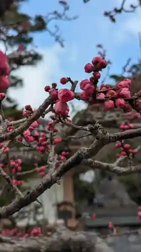  智積院(京都府)
