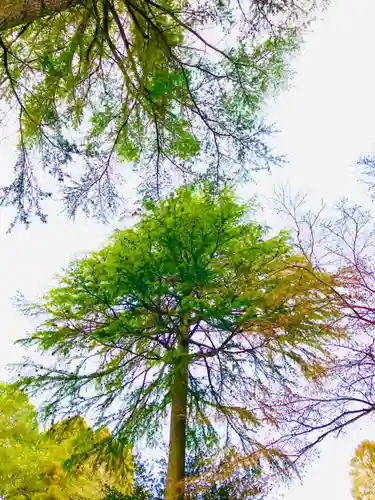 蛟蝄神社奥の宮(茨城県)
