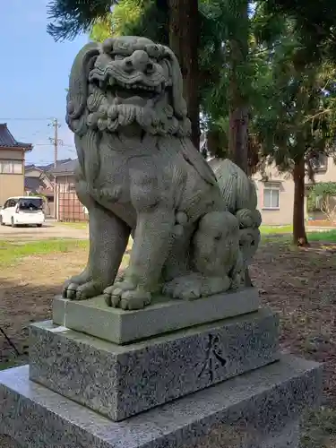 白山比咩神社の狛犬