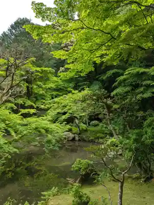 南禅院(京都府)