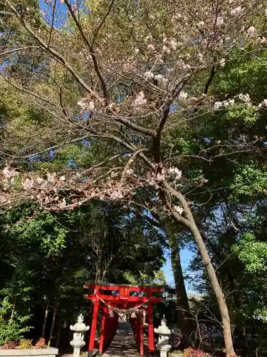 彌都加伎神社の鳥居