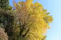 帳附神社の自然