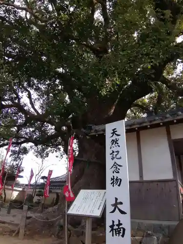 無量寺の自然