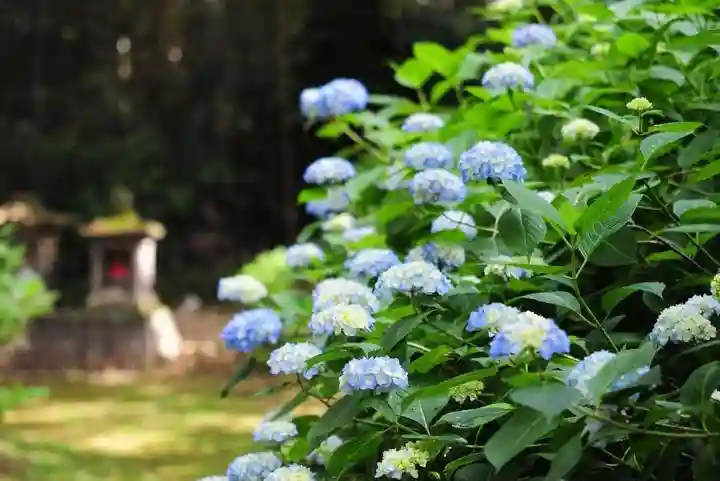 浄土寺(兵庫県)