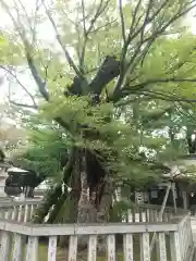 高城神社(埼玉県)