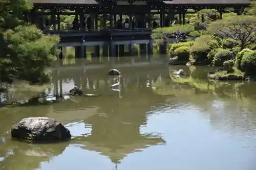 平安神宮の庭園