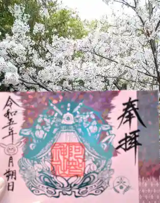 
桜と箔押し御朱印🌸



