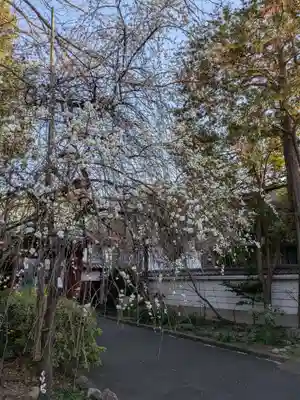 蓮華寺(東京都)