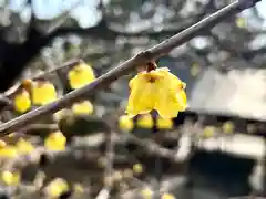 善光寺(長野県)