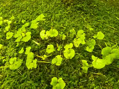 祇王寺(京都府)