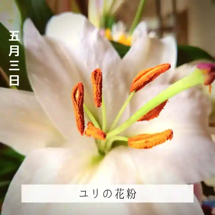 壽徳寺 じゅとくじ(福島県)