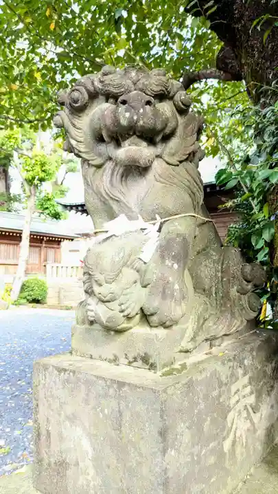 鳩ヶ谷氷川神社の狛犬
