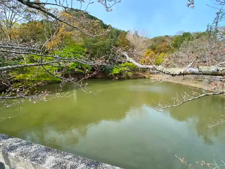 安房神社の周辺